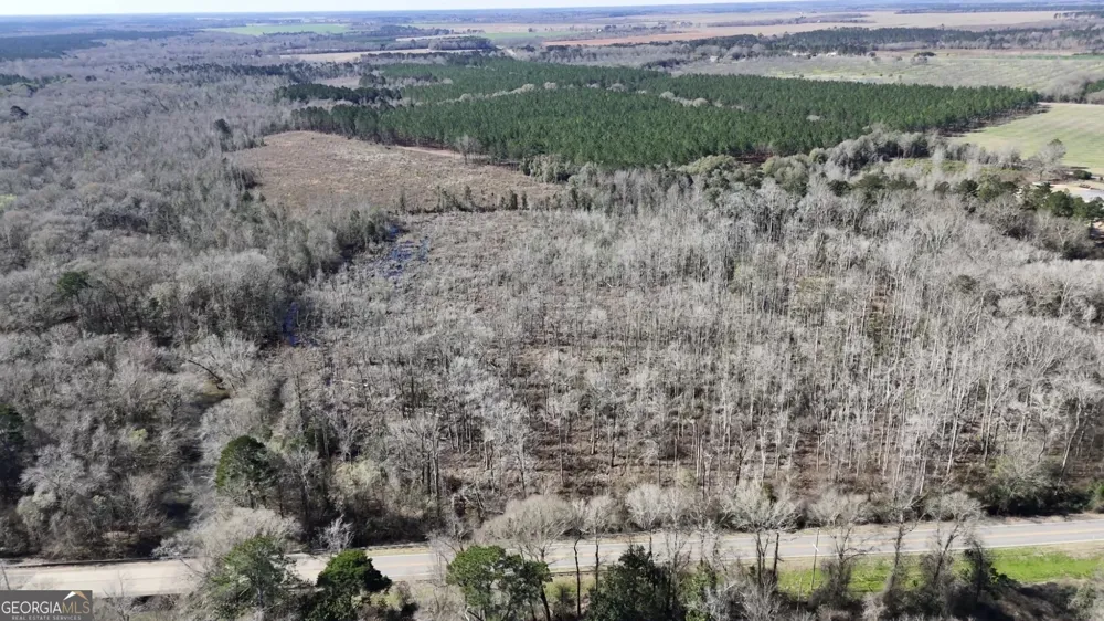0 Highway 90 Byromville, GA 31007