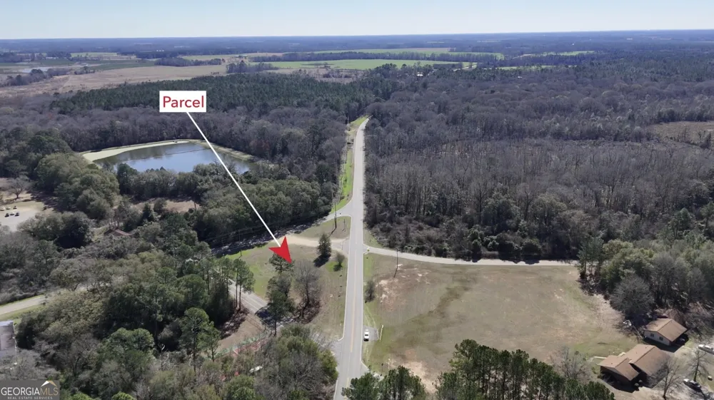 0 Highway 90 Byromville, GA 31007