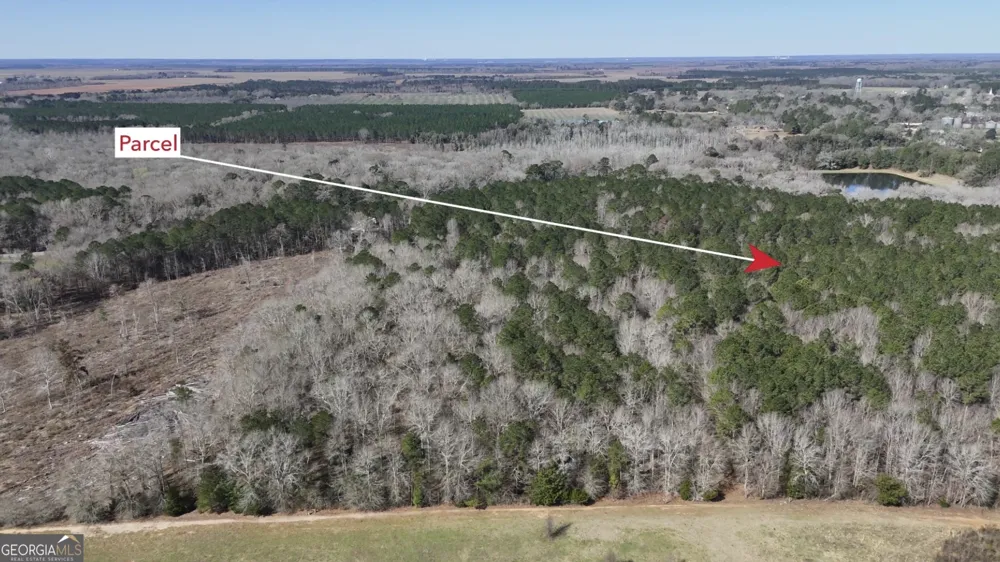 0 Highway 90 Byromville, GA 31007