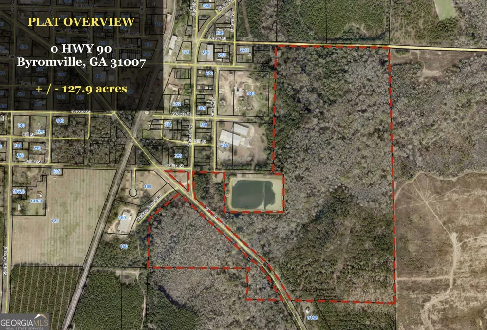 0 Highway 90 Byromville, GA 31007