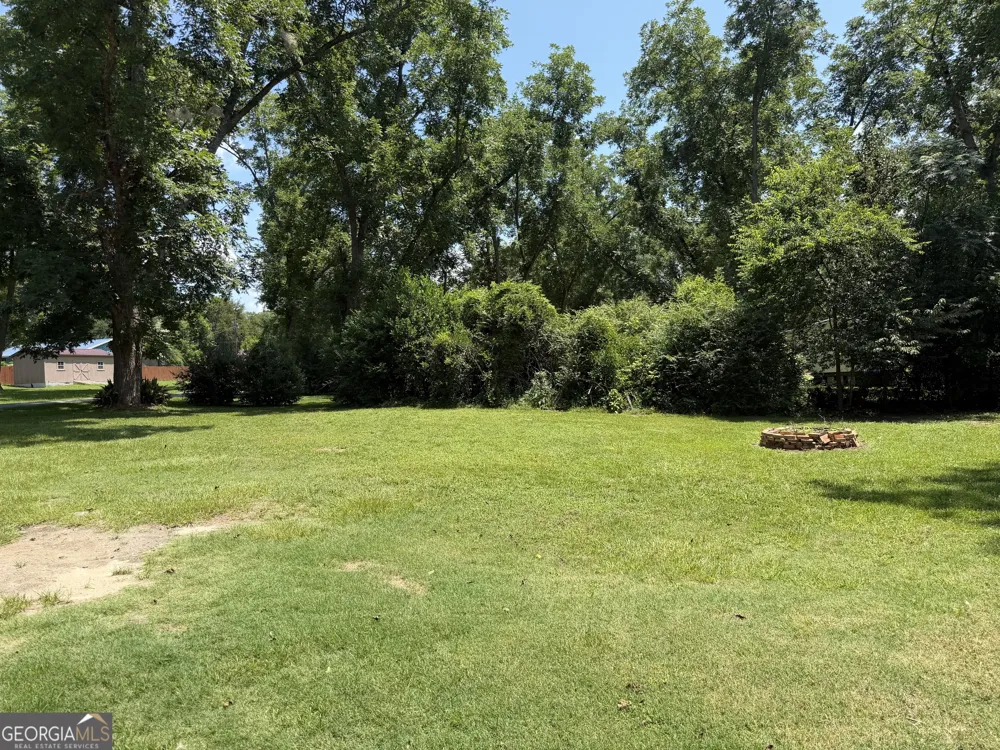 101 Harvey ST Dexter, GA 31019