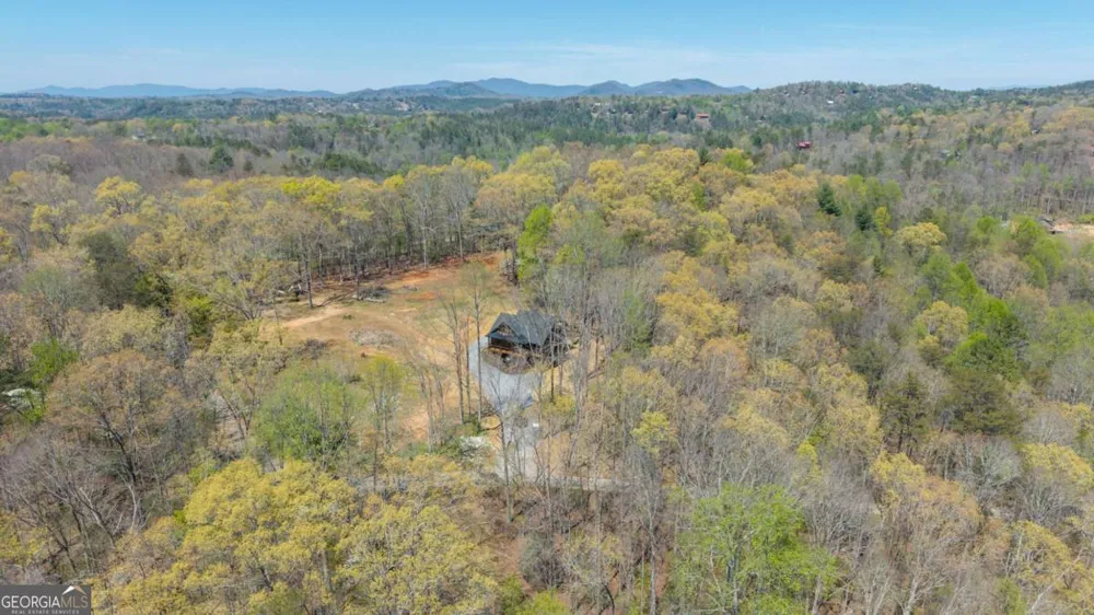 1038 BLUEBIRD RD Mineral Bluff, GA 30559