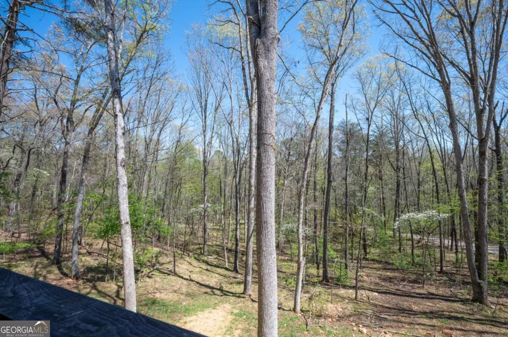 1038 BLUEBIRD RD Mineral Bluff, GA 30559