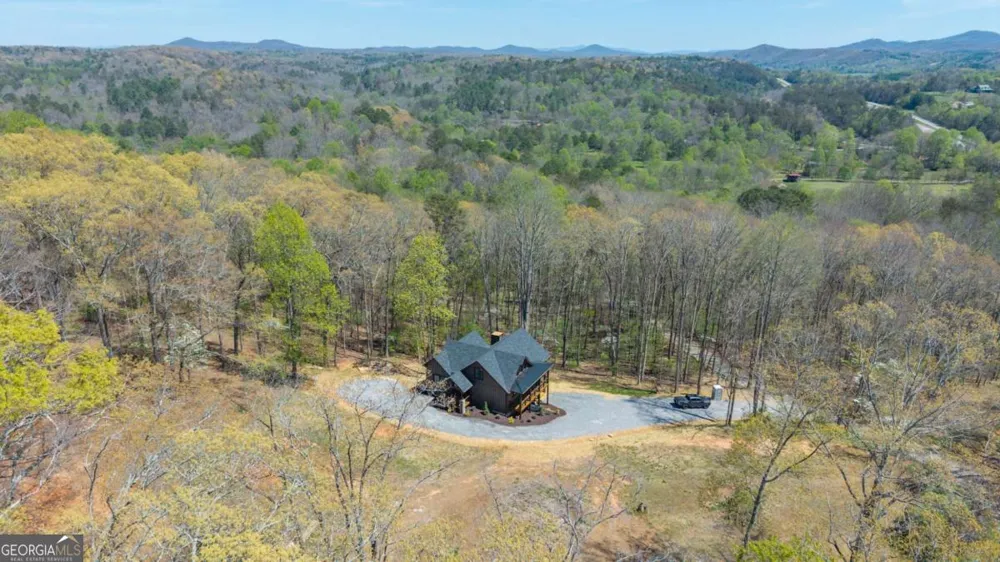 1038 BLUEBIRD RD Mineral Bluff, GA 30559
