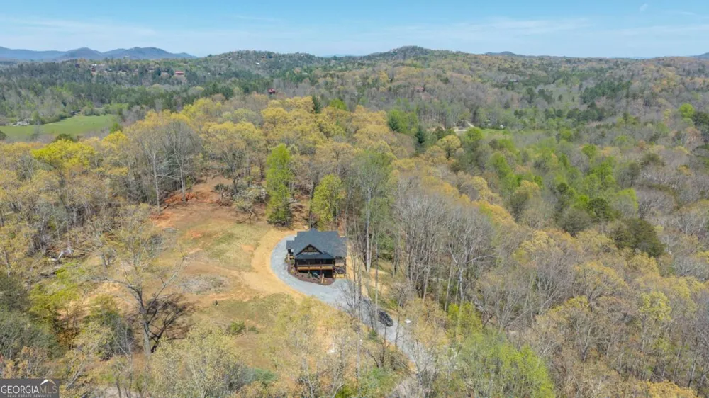 1038 BLUEBIRD RD Mineral Bluff, GA 30559