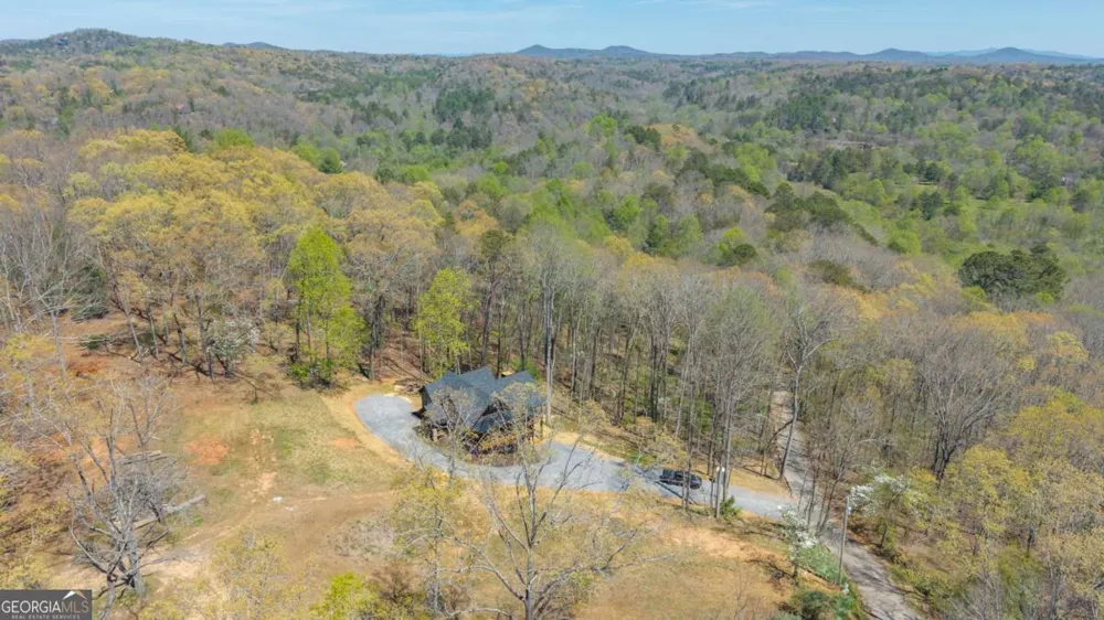 1038 BLUEBIRD RD Mineral Bluff, GA 30559