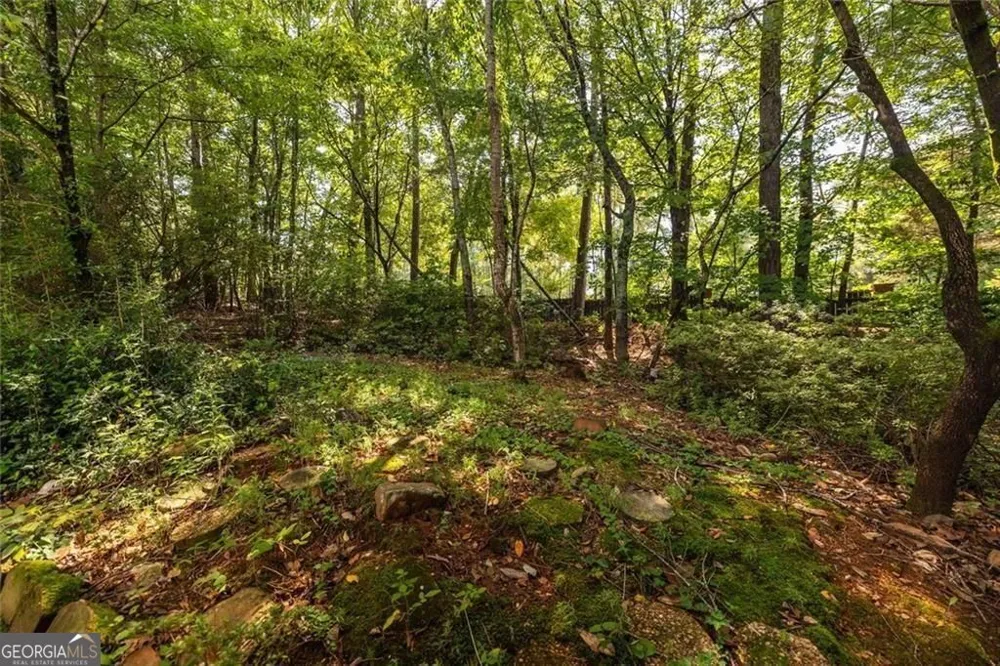 6260 Forest Hills DR Peachtree Corners, GA 30092