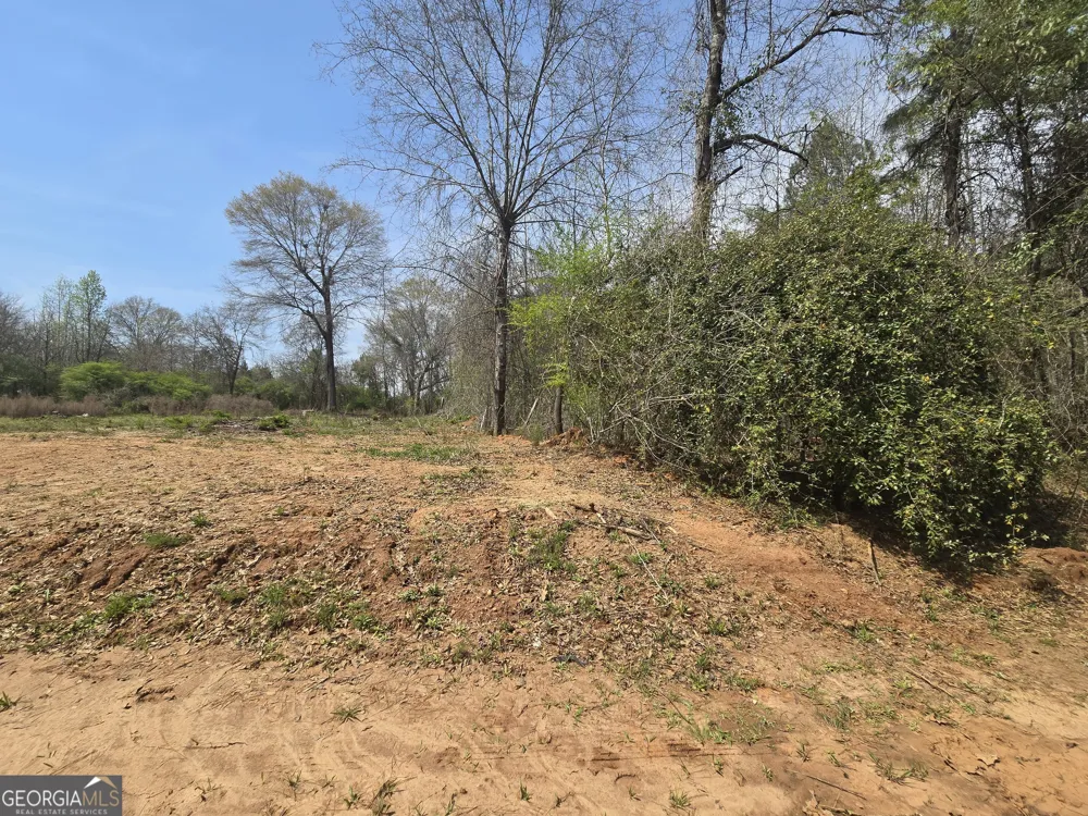 3588 W Ellis RD Griffin, GA 30223