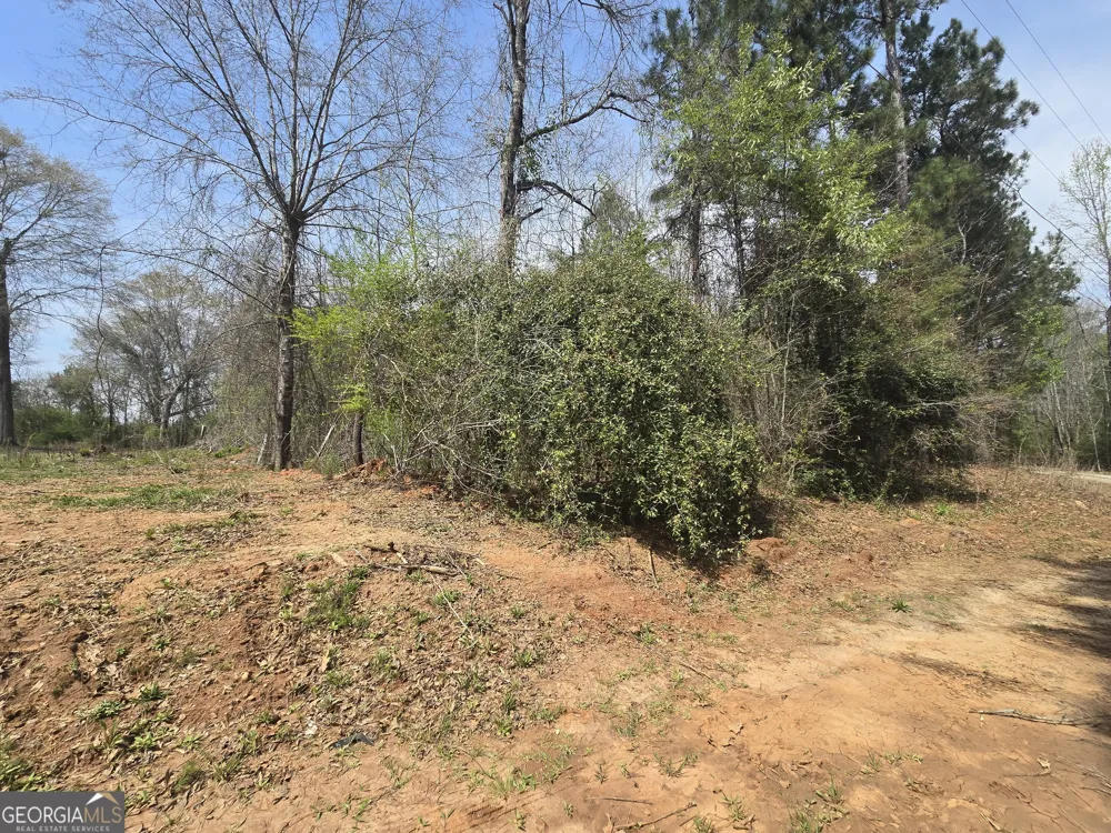 3588 W Ellis RD Griffin, GA 30223