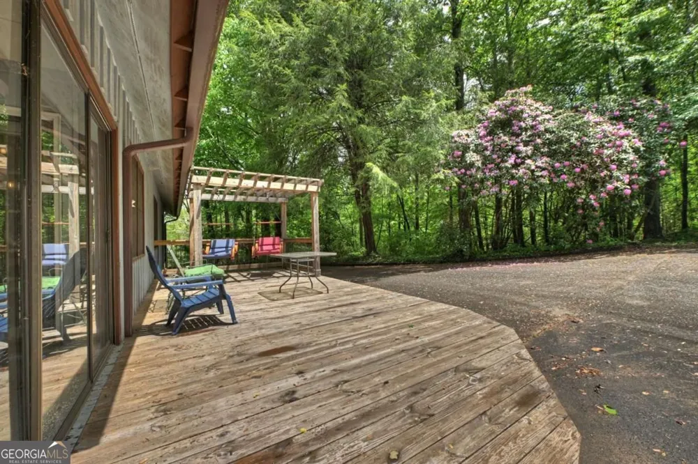 47 Harris DR Blue Ridge, GA 30513