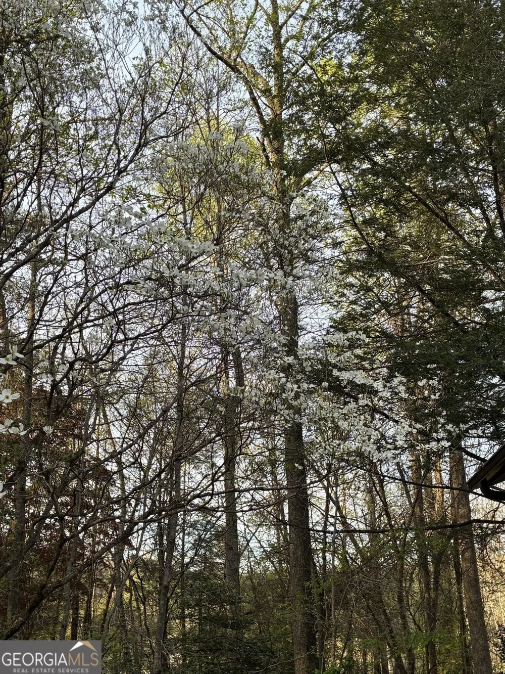 47 Harris DR Blue Ridge, GA 30513