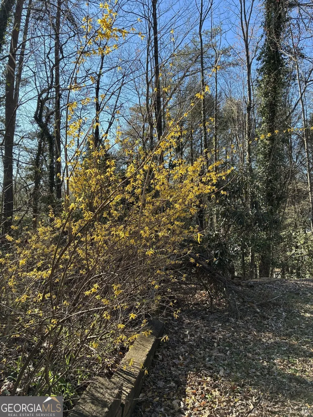 47 Harris DR Blue Ridge, GA 30513