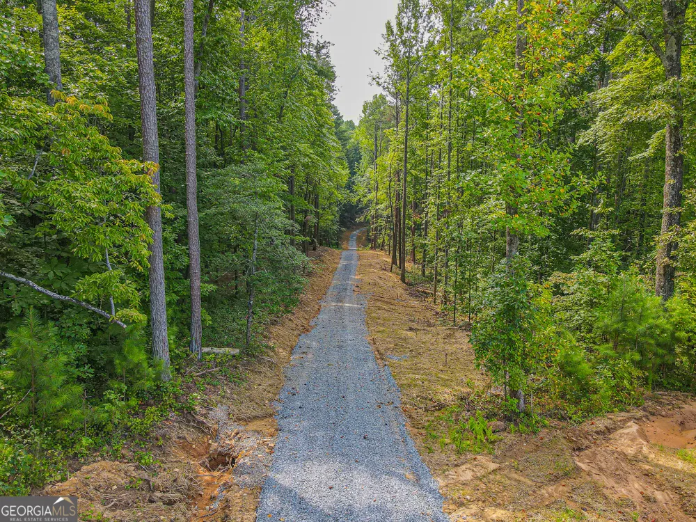 0 Orchard LN Talking Rock, GA 30175