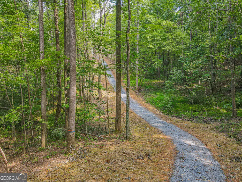 0 Orchard LN Talking Rock, GA 30175