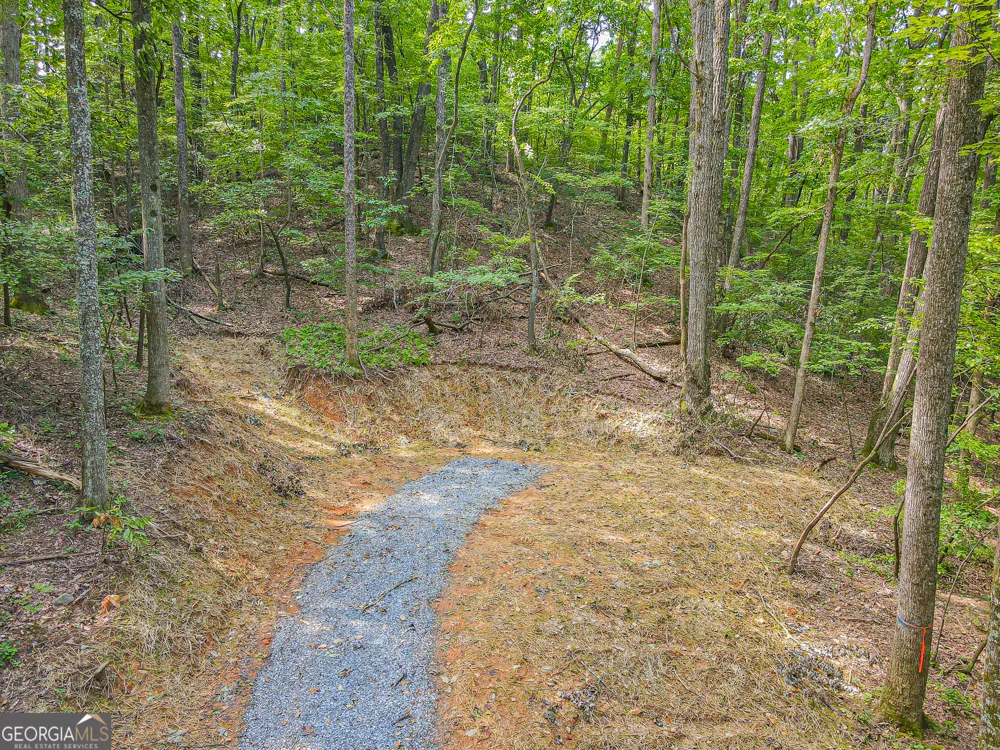 0 Orchard LN Talking Rock, GA 30175