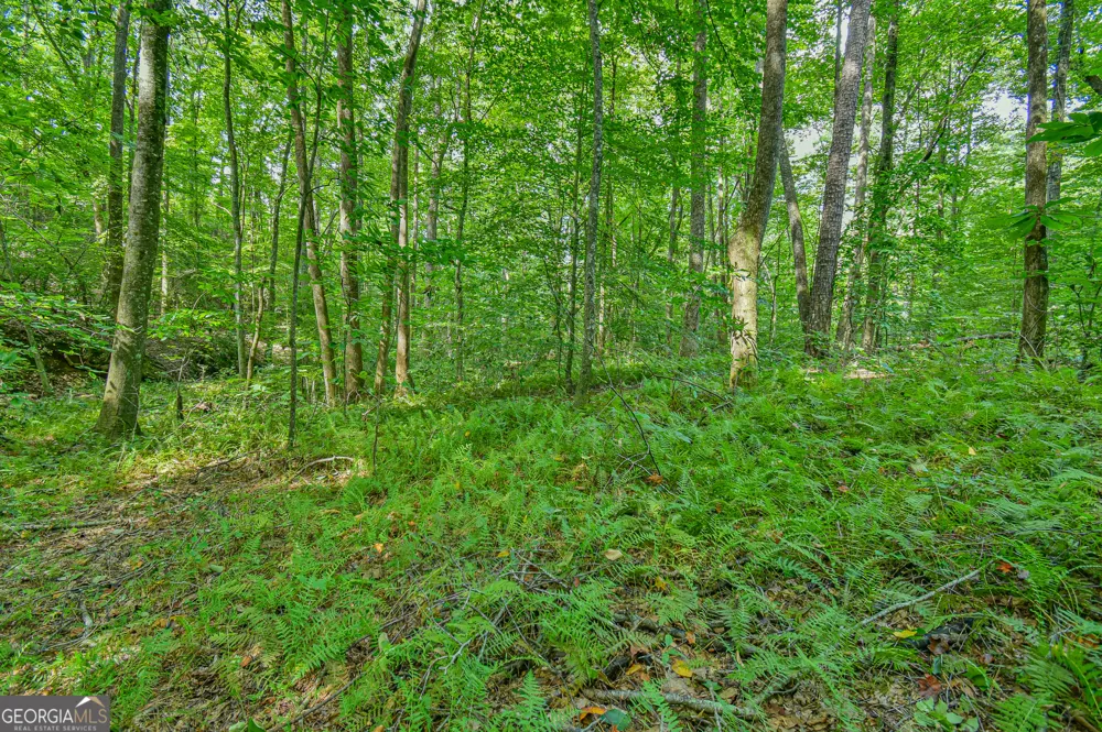 0 Orchard LN Talking Rock, GA 30175
