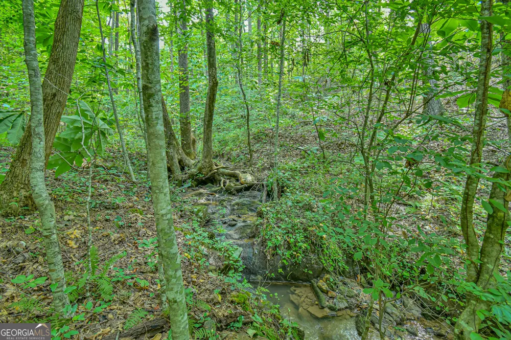 0 Orchard LN Talking Rock, GA 30175