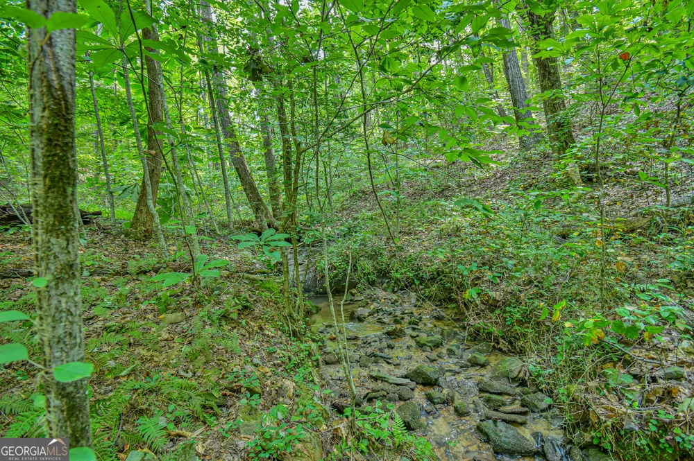 0 Orchard LN Talking Rock, GA 30175