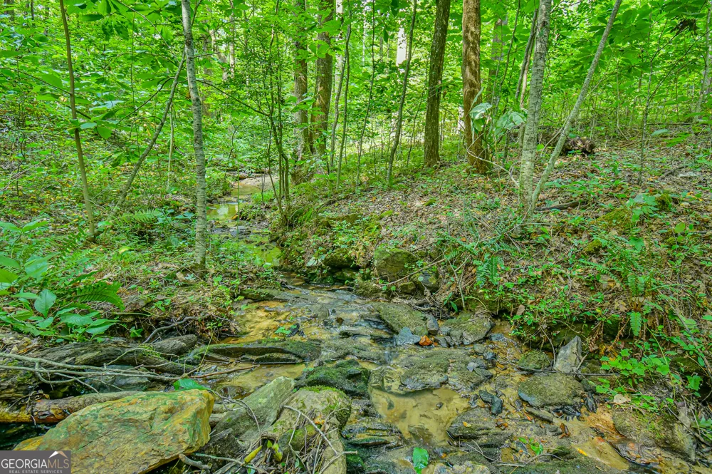 0 Orchard LN Talking Rock, GA 30175
