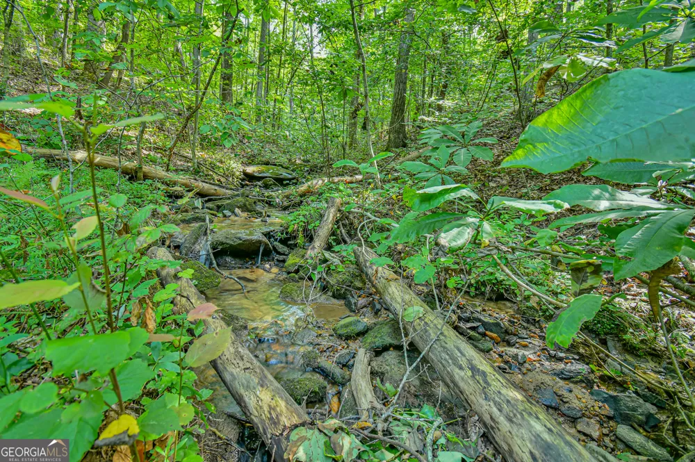 0 Orchard LN Talking Rock, GA 30175