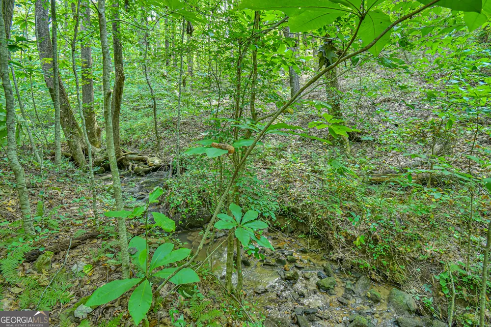0 Orchard LN Talking Rock, GA 30175