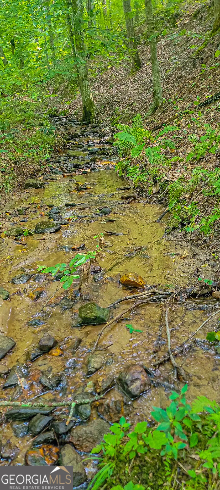 0 Orchard LN Talking Rock, GA 30175