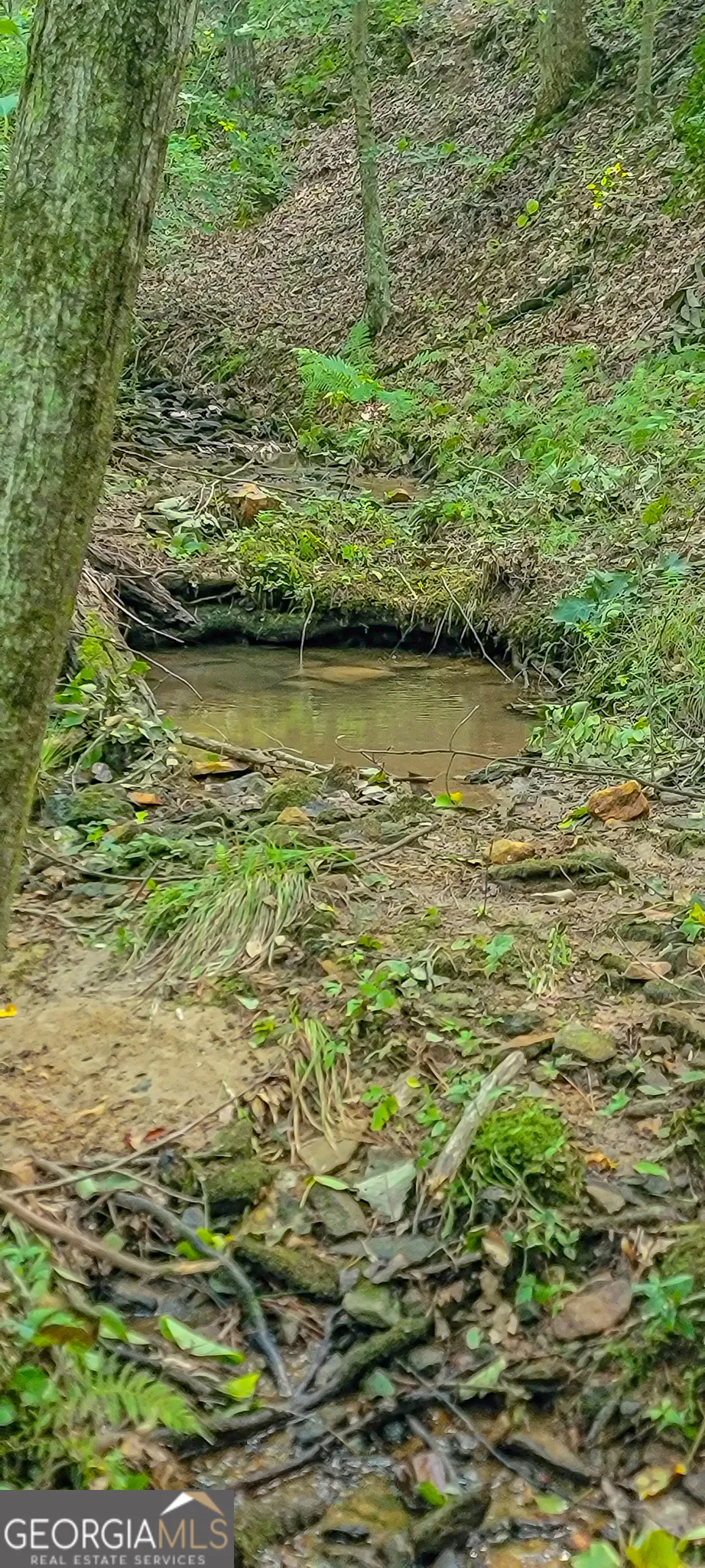 0 Orchard LN Talking Rock, GA 30175