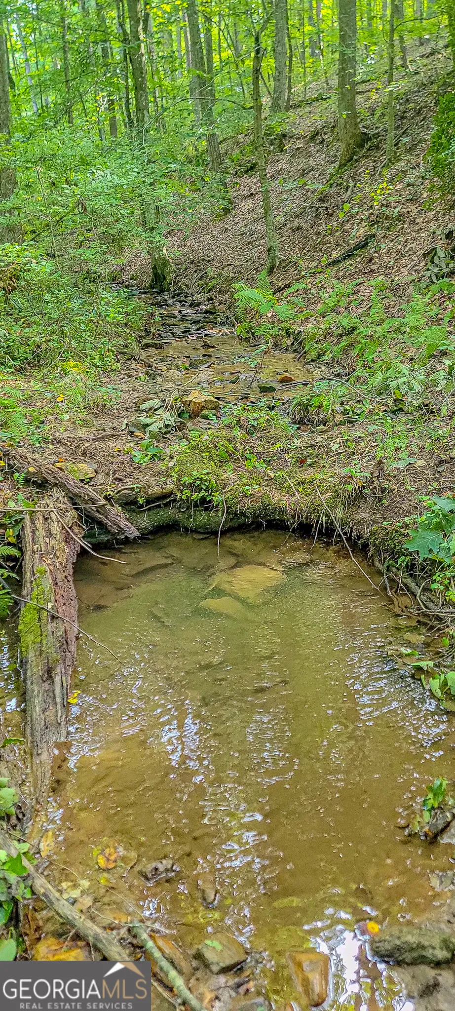 0 Orchard LN Talking Rock, GA 30175