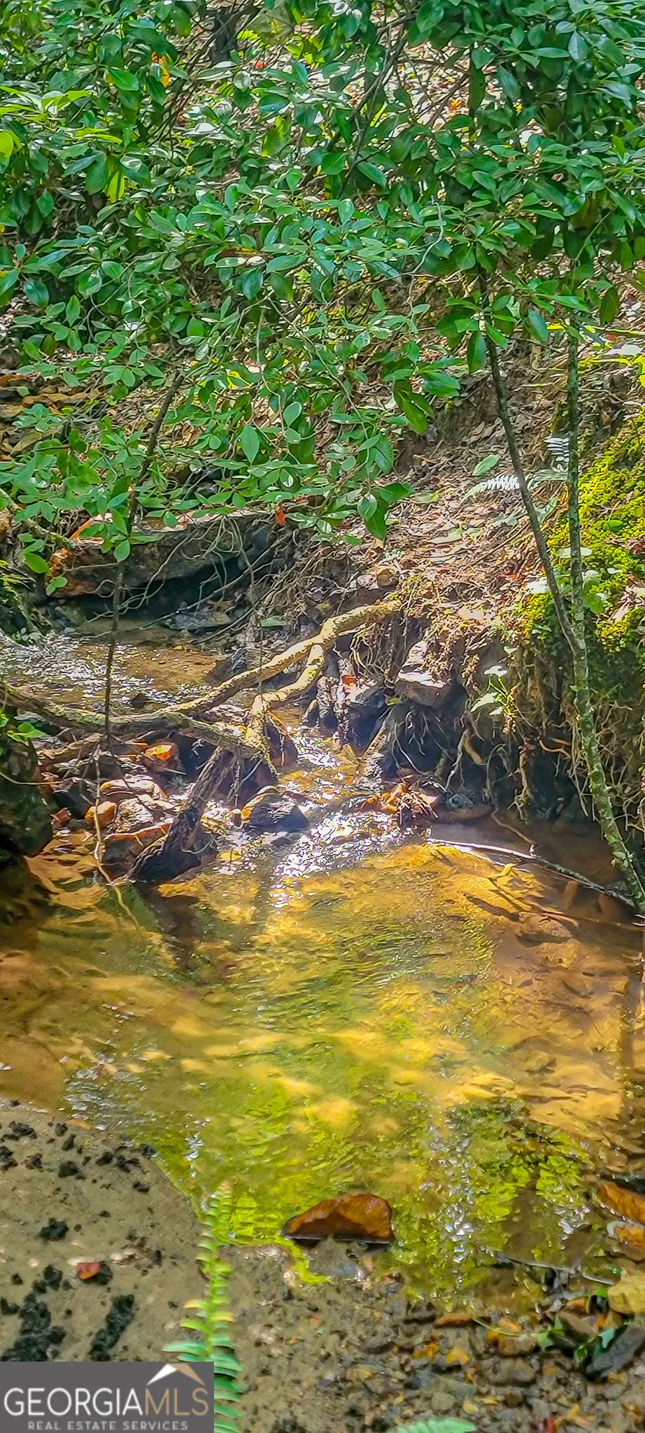0 Orchard LN Talking Rock, GA 30175