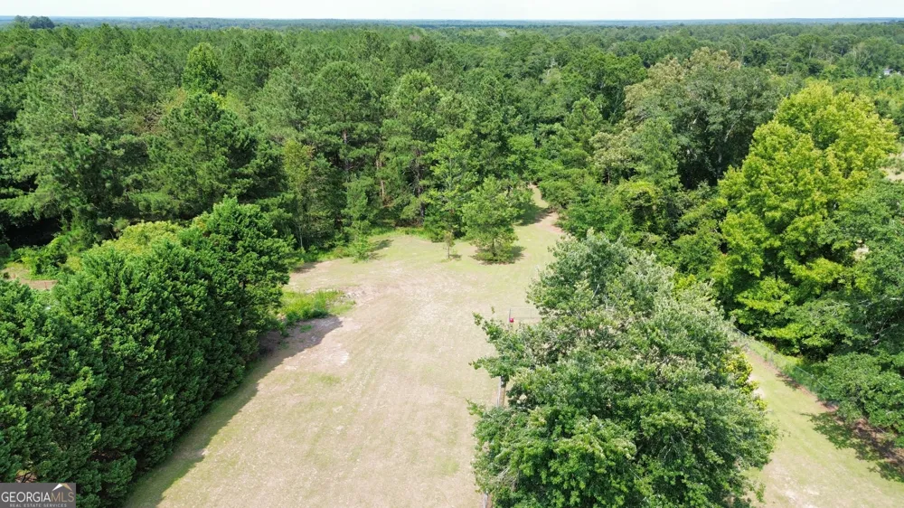 3356 Hwy 338 Dexter, GA 31019
