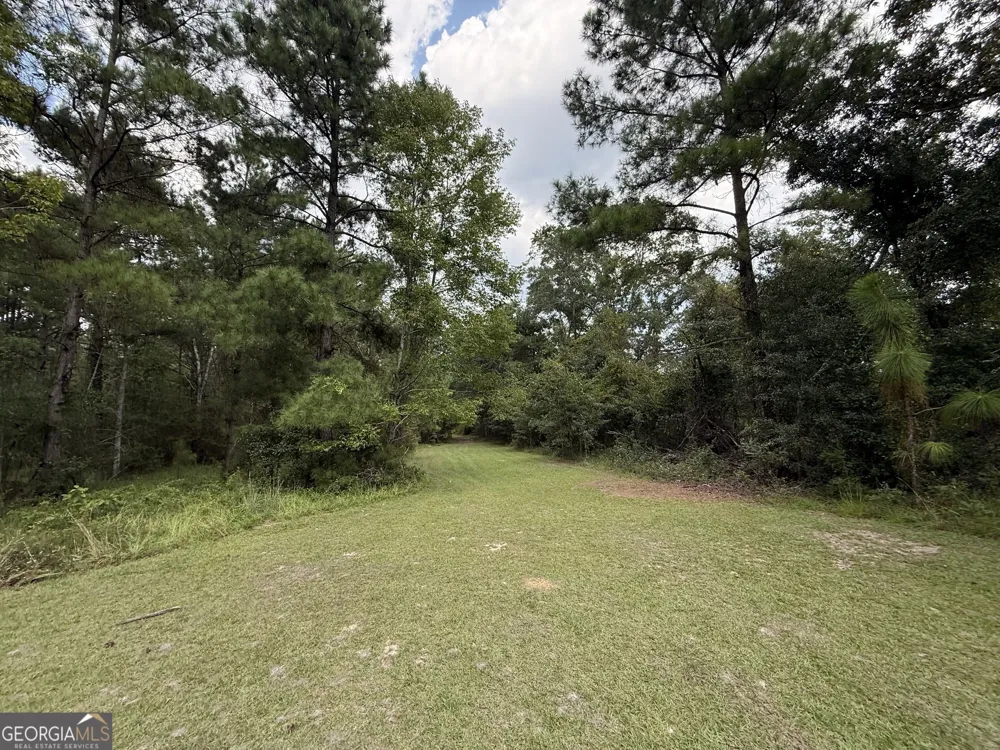 3356 Hwy 338 Dexter, GA 31019