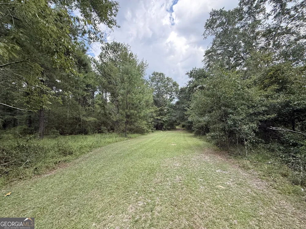 3356 Hwy 338 Dexter, GA 31019