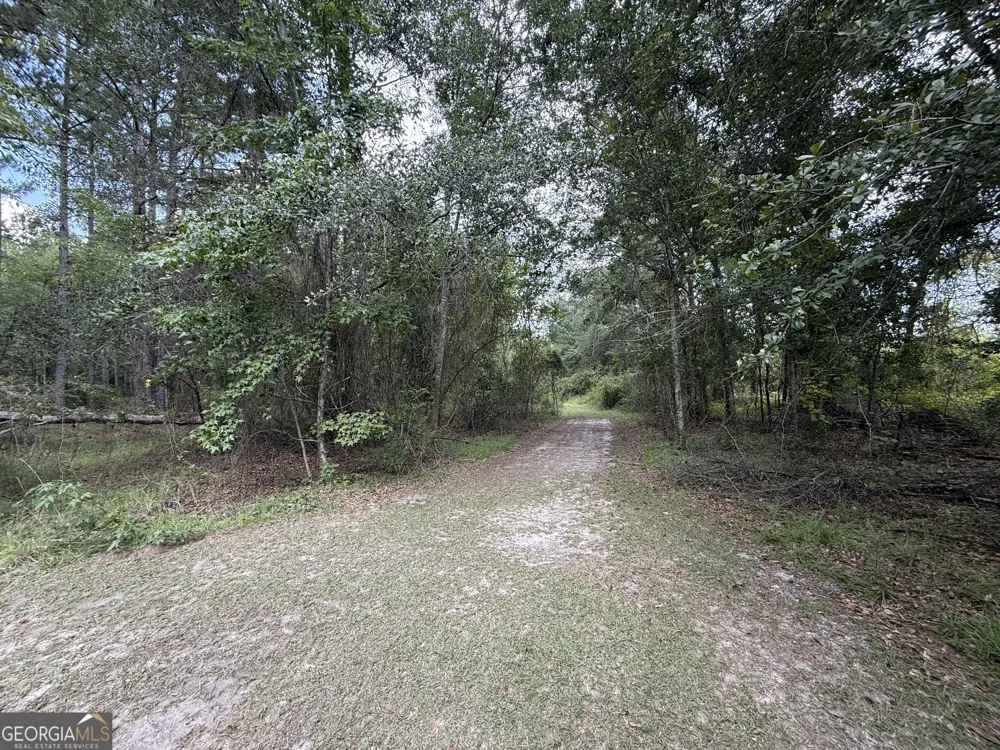 3356 Hwy 338 Dexter, GA 31019