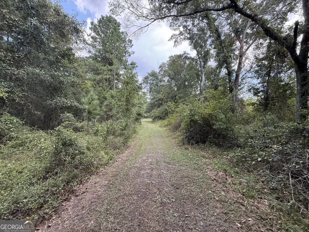 3356 Hwy 338 Dexter, GA 31019