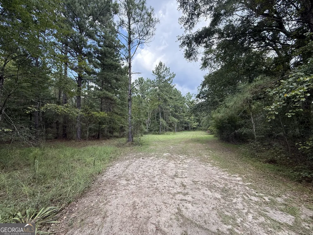 3356 Hwy 338 Dexter, GA 31019