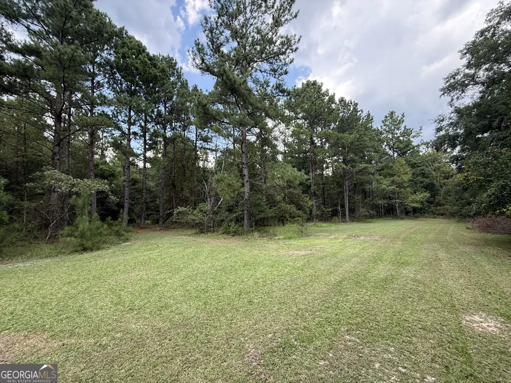 3356 Hwy 338 Dexter, GA 31019