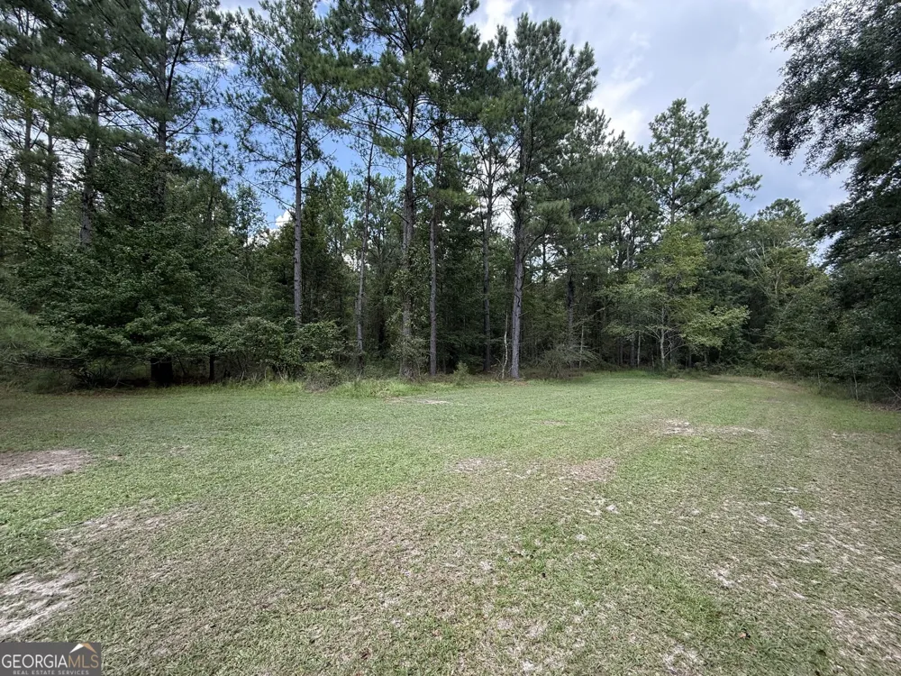 3356 Hwy 338 Dexter, GA 31019