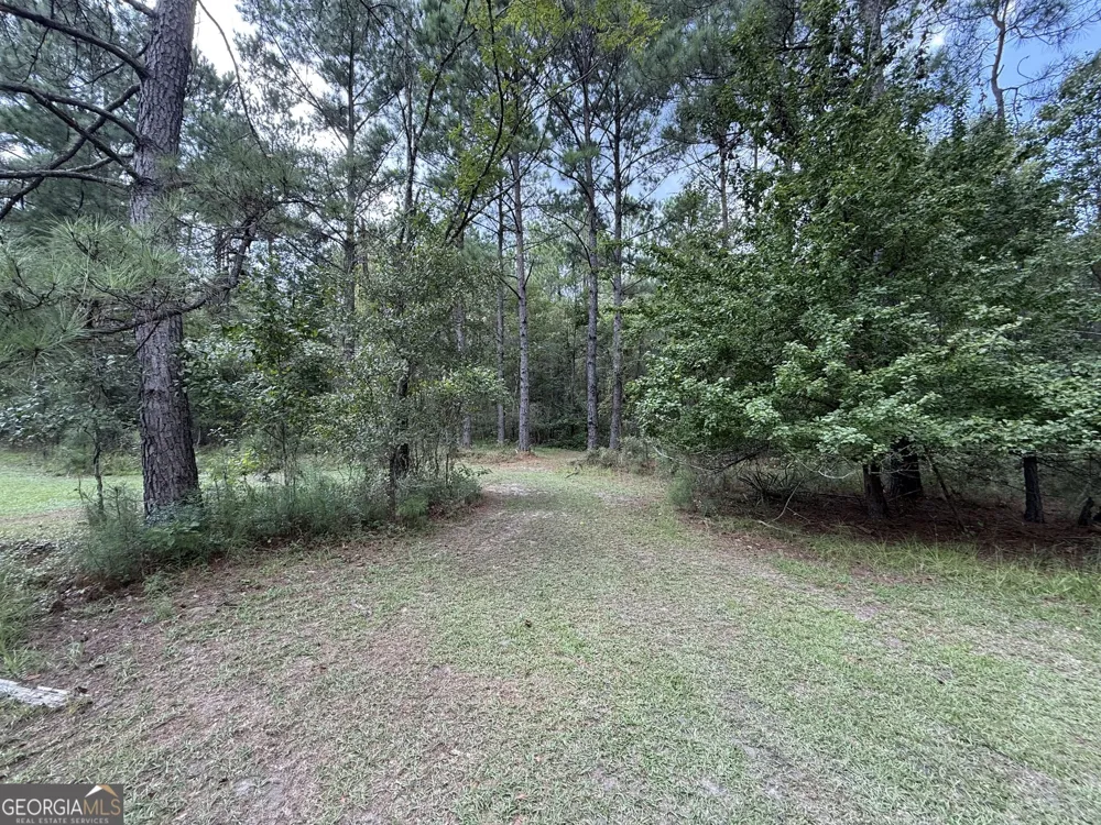 3356 Hwy 338 Dexter, GA 31019