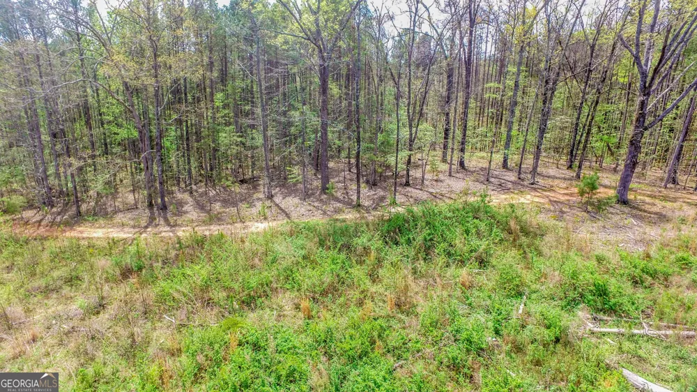 2185 Highway 85 Senoia, GA 30276