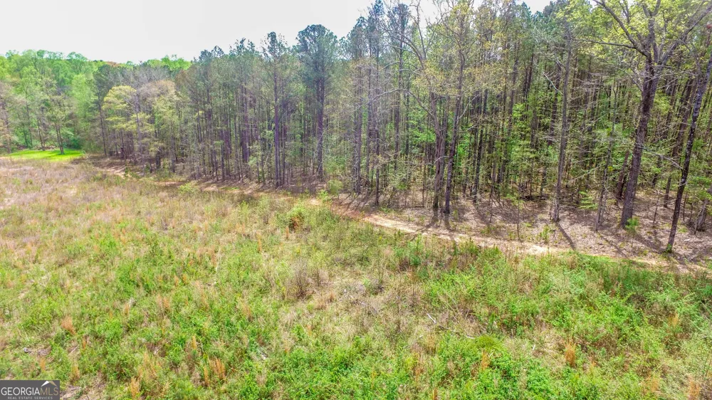 2185 Highway 85 Senoia, GA 30276