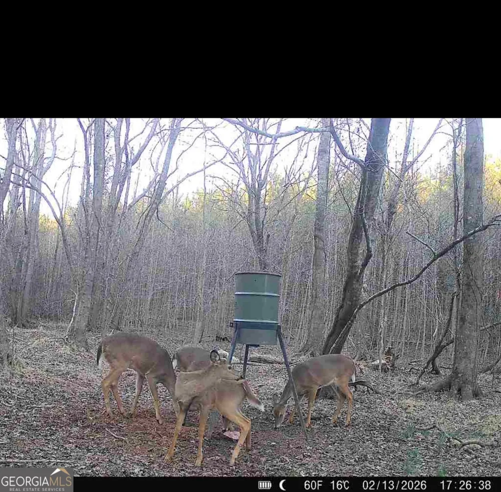 0 Jordan RD Monticello, GA 31064