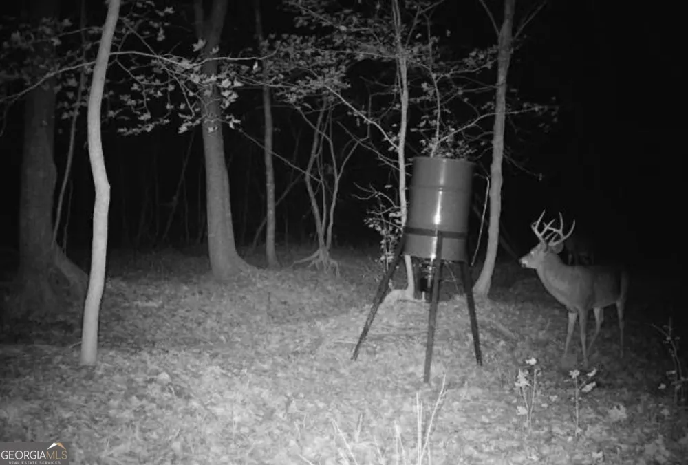 0 Jordan RD Monticello, GA 31064