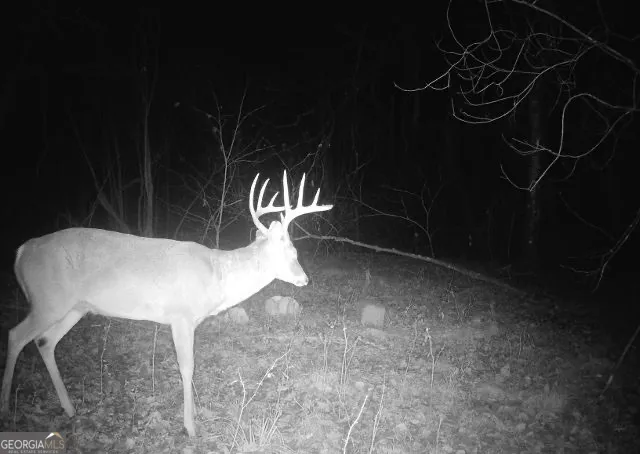 0 Jordan RD Monticello, GA 31064