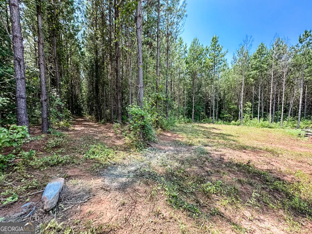 0 Jordan RD Monticello, GA 31064