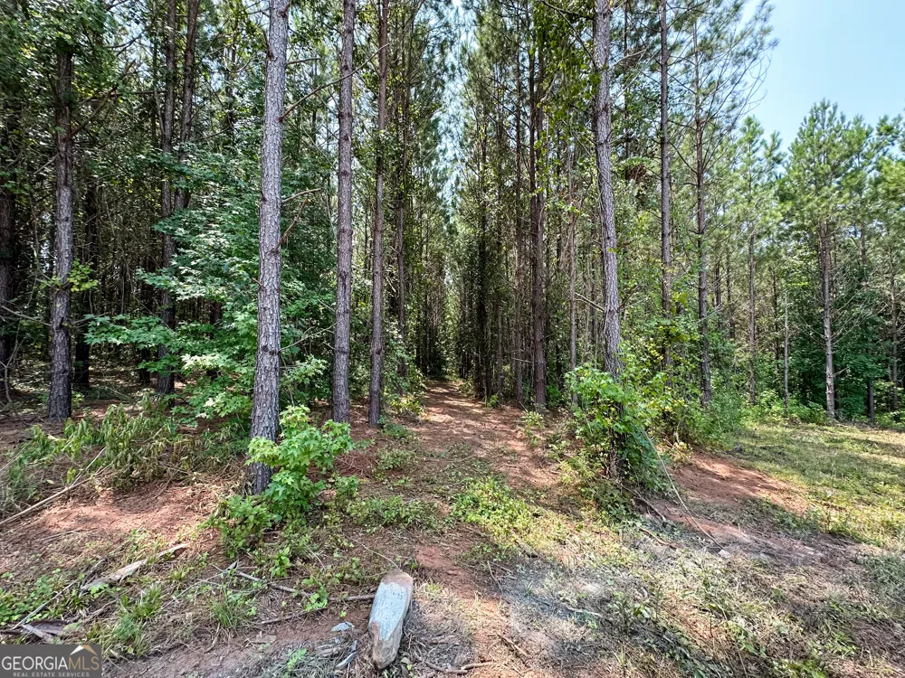 0 Jordan RD Monticello, GA 31064