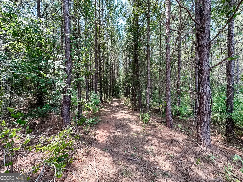 0 Jordan RD Monticello, GA 31064