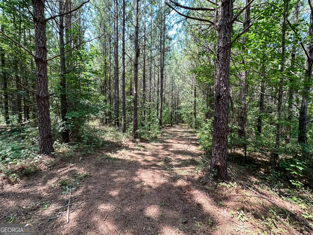 0 Jordan RD Monticello, GA 31064