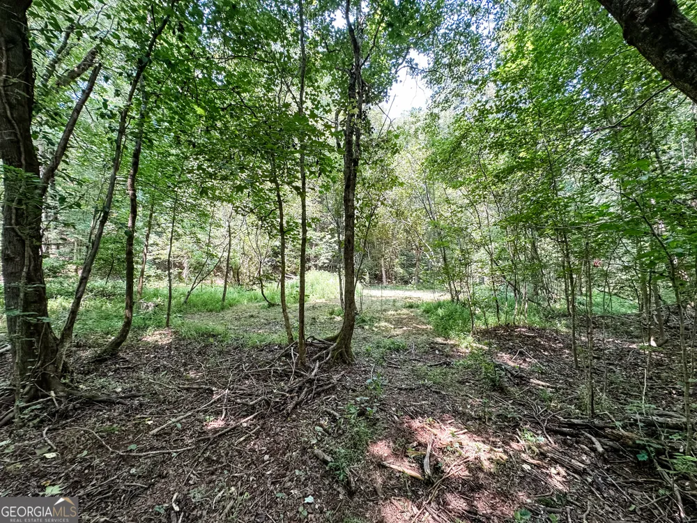 0 Jordan RD Monticello, GA 31064