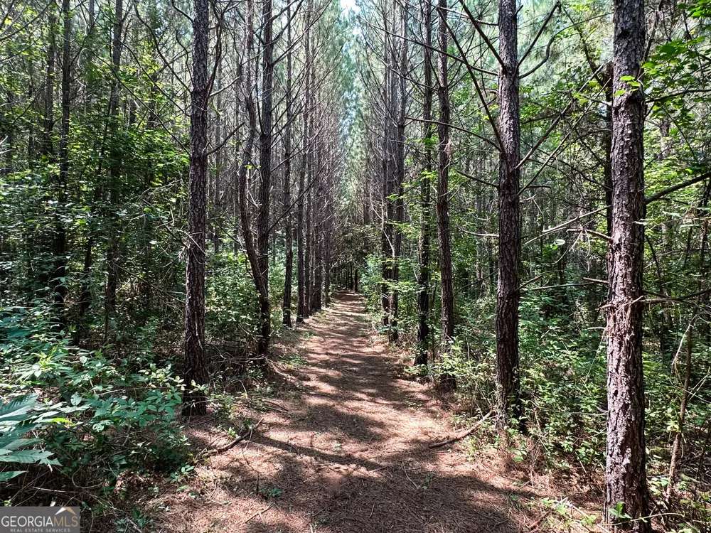 0 Jordan RD Monticello, GA 31064