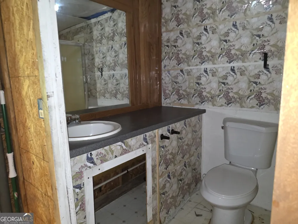 71 Frances White RD Buchanan, GA 30113